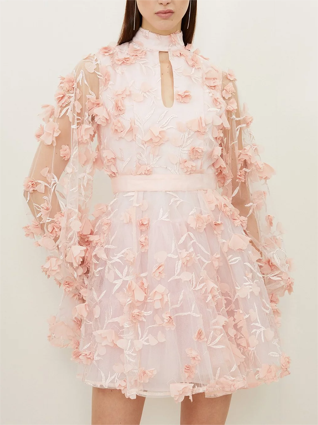 Floral Applique Woven Mini Dress