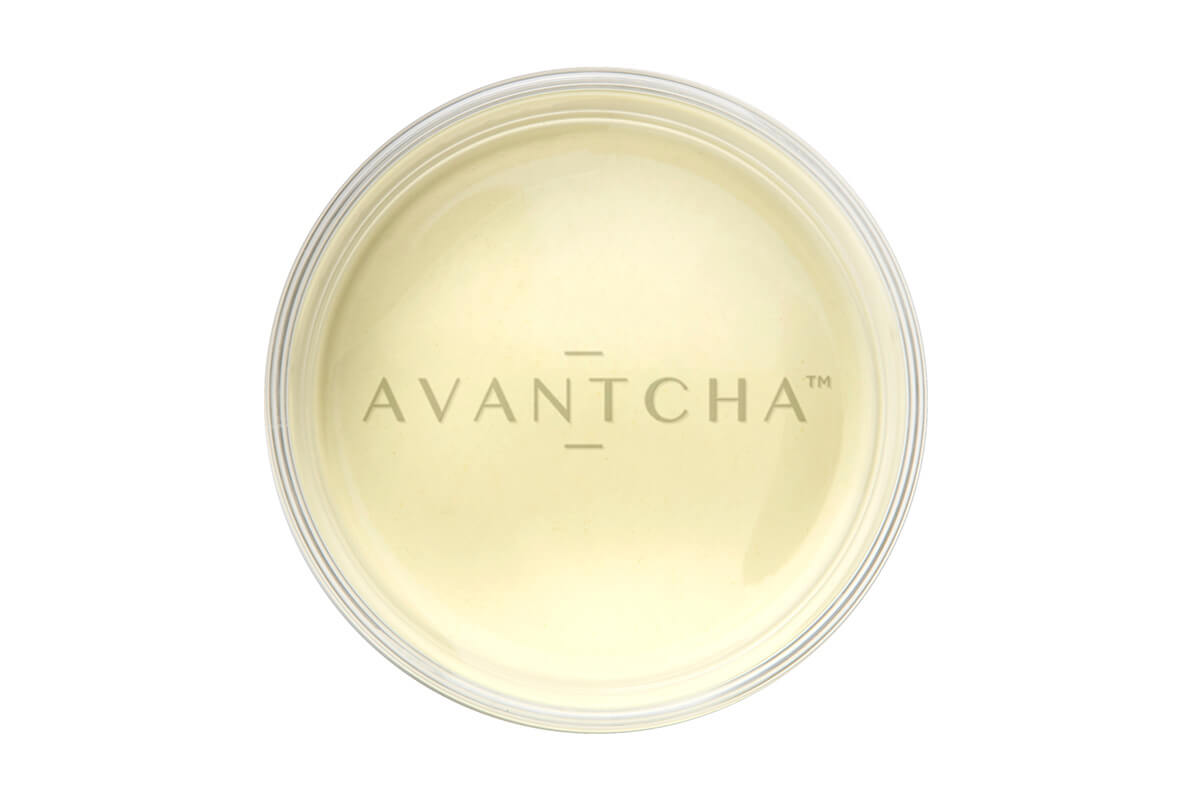 Freshly brewed yellow tea with mellow hue and floral-hay aroma notes