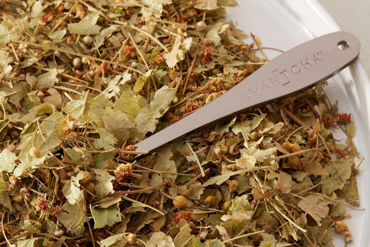 Wild Linden Blossoms