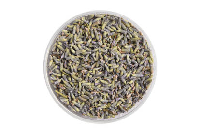 Lavender Blossoms