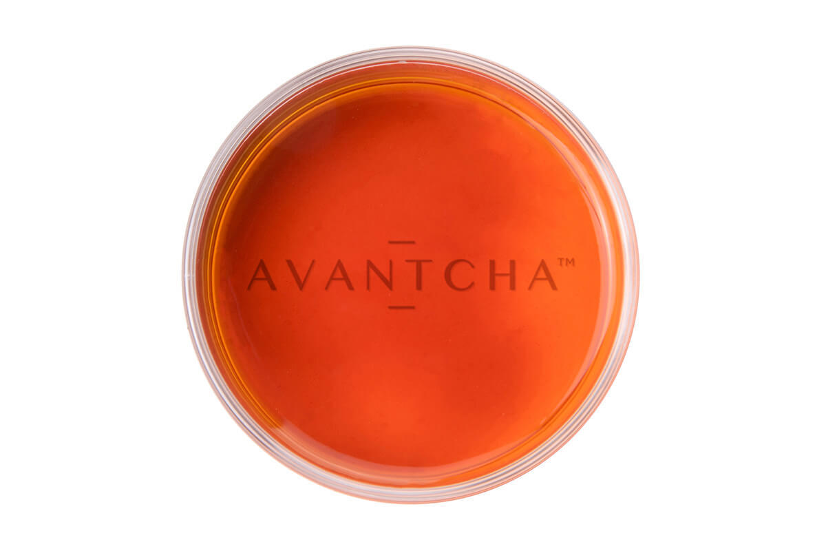 Golden infusion of Rooibos Orange Blossom tea showing soft floral and citrus tones