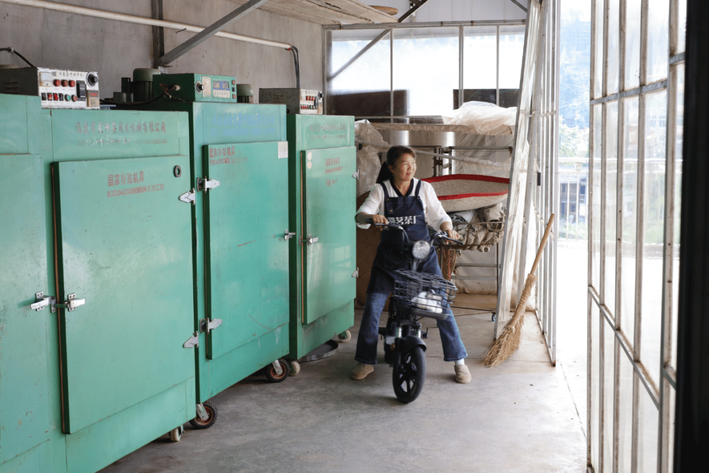Tea production facility Fujian China