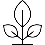 Handcrafted in Japan