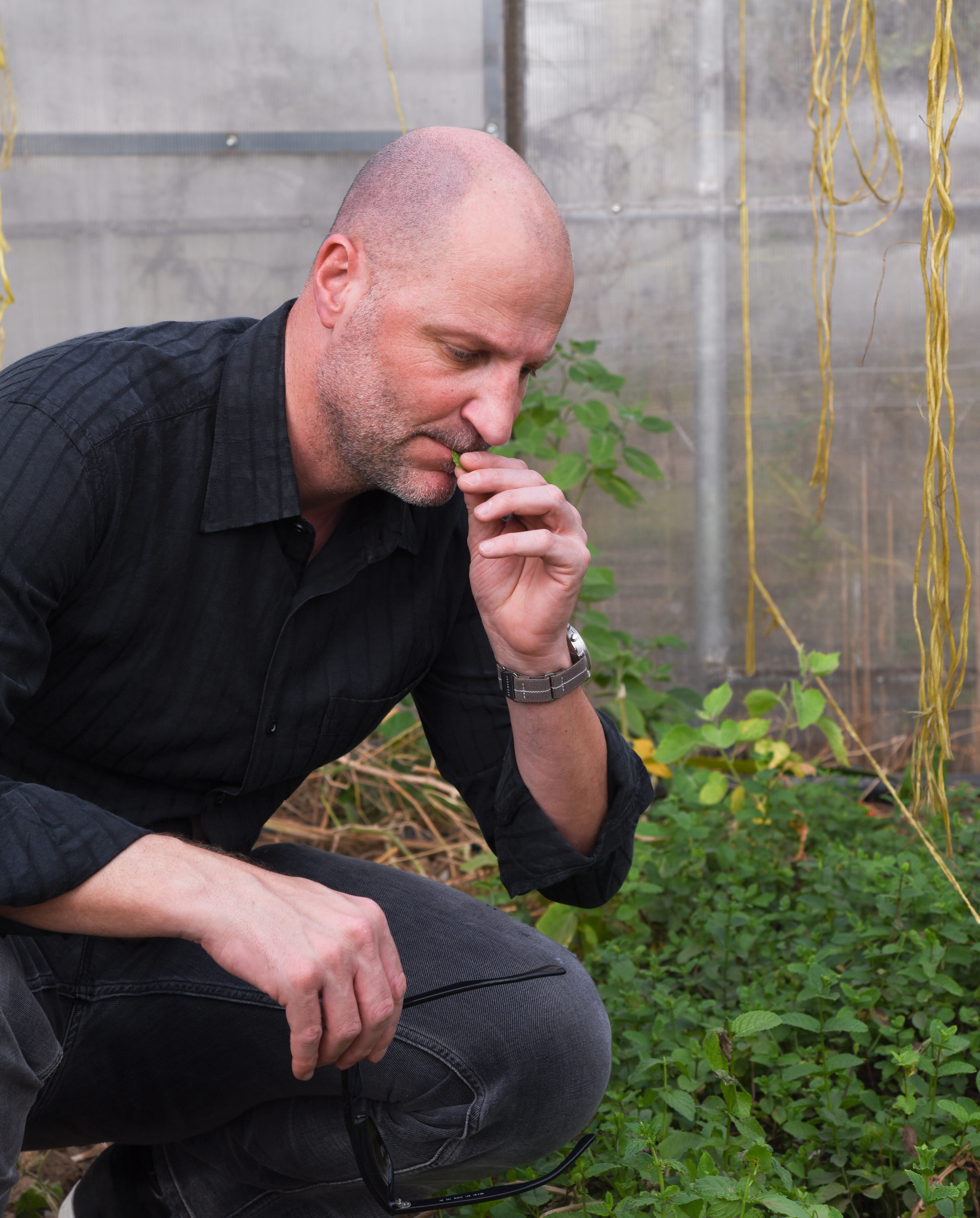 Markus Zbinden in his garden