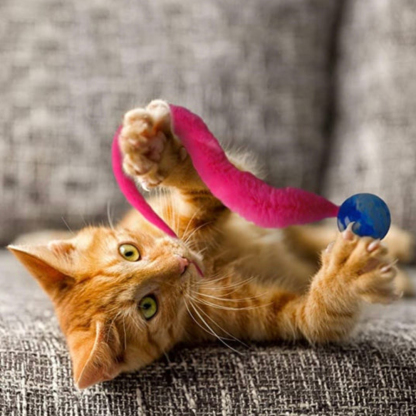 Jagute™ Jiggle Ball for Cat