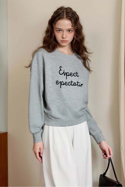 Simple Style Letter Embroidered Sweatshirt