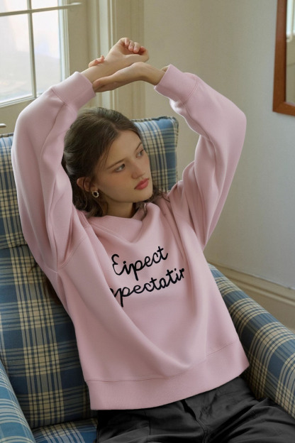 Simple Style Letter Embroidered Sweatshirt