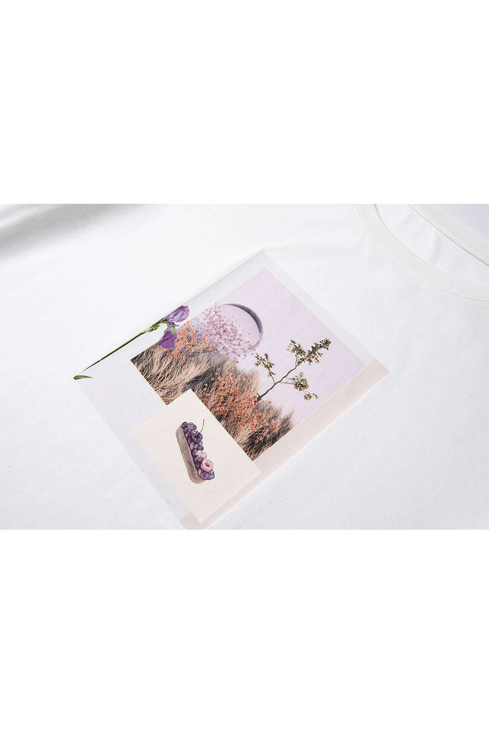 Landscape Printed Cotton T-Shirt