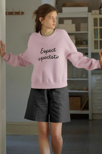 Simple Style Letter Embroidered Sweatshirt