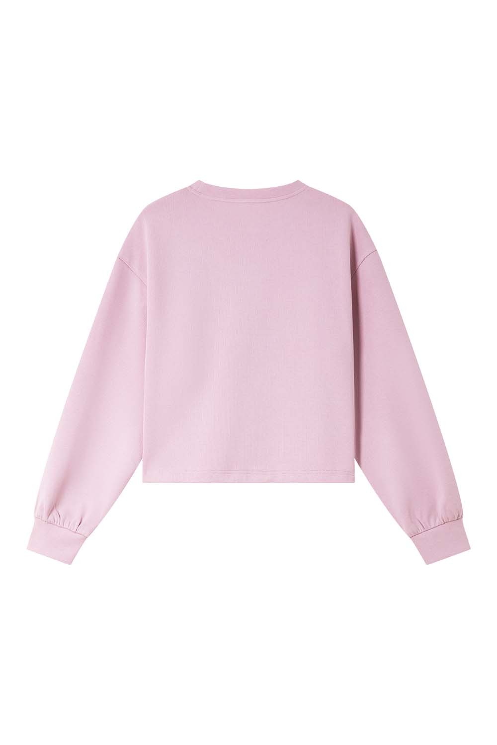 Butterfly Embroidered Sequined Knitted Sweatshirt