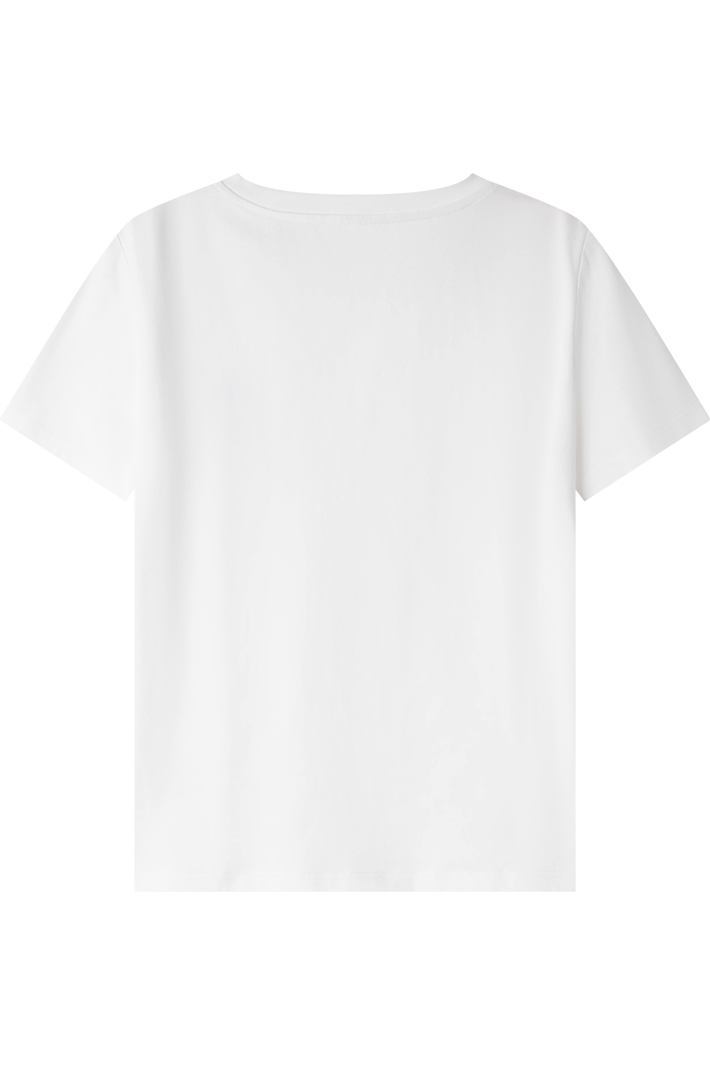 Animal Embroidery Straight T-Shirt