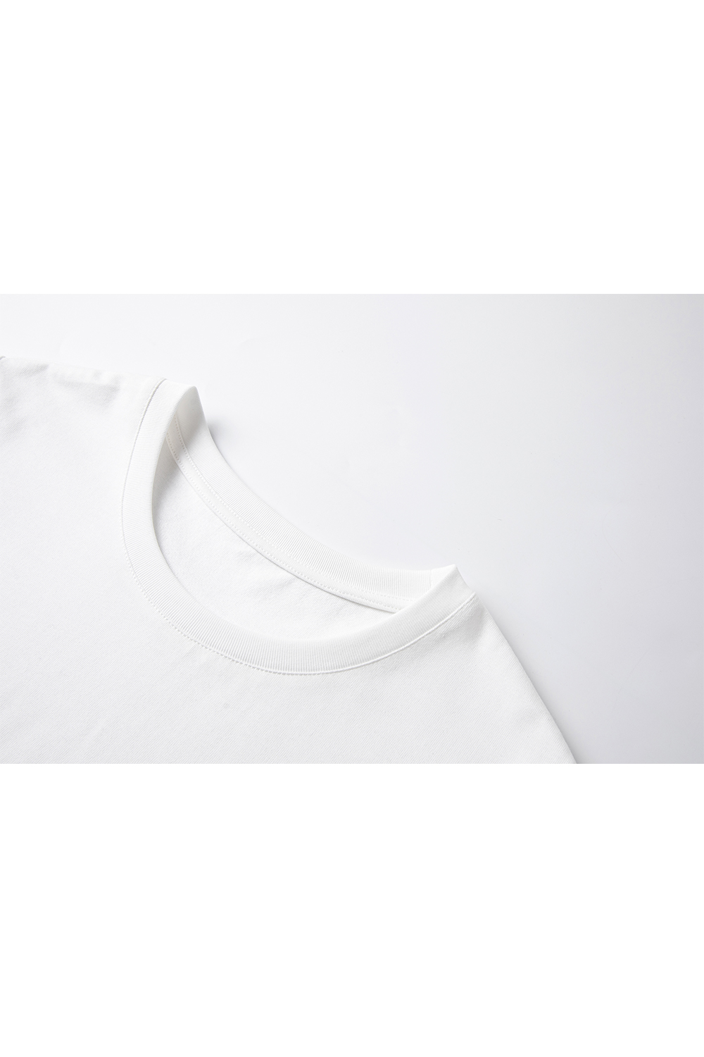 Animal Embroidery Straight T-Shirt