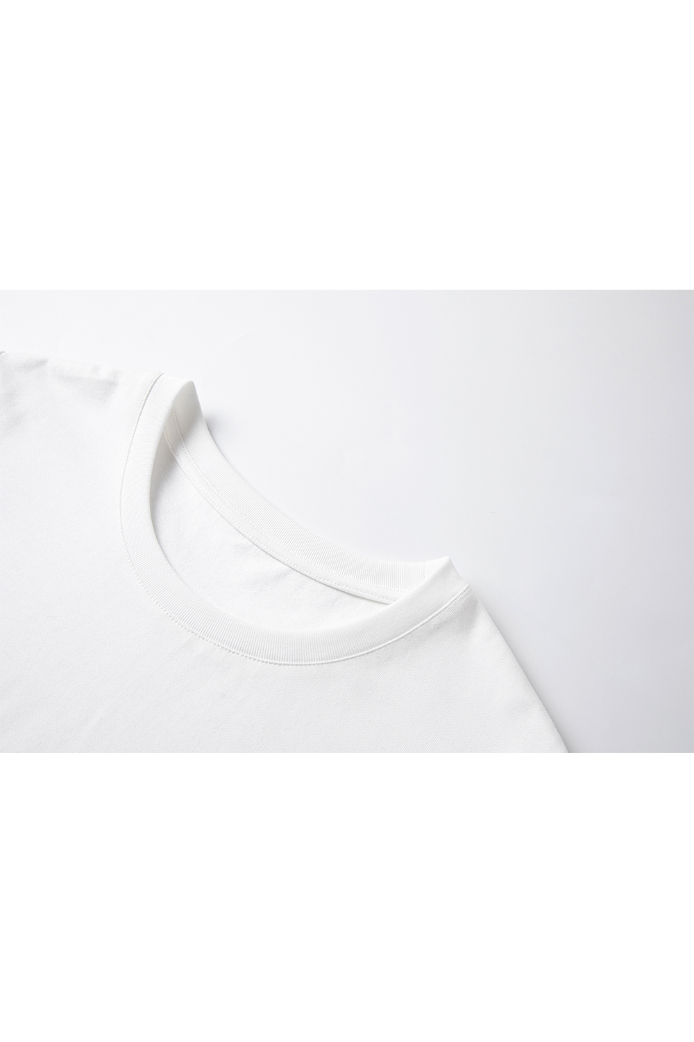 Animal Embroidery Straight T-Shirt