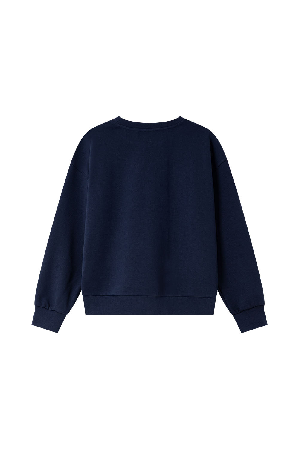 Dachshund Embroidered Round Neck Sweatshirt
