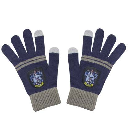 Adults Ravenclaw Full Uniform