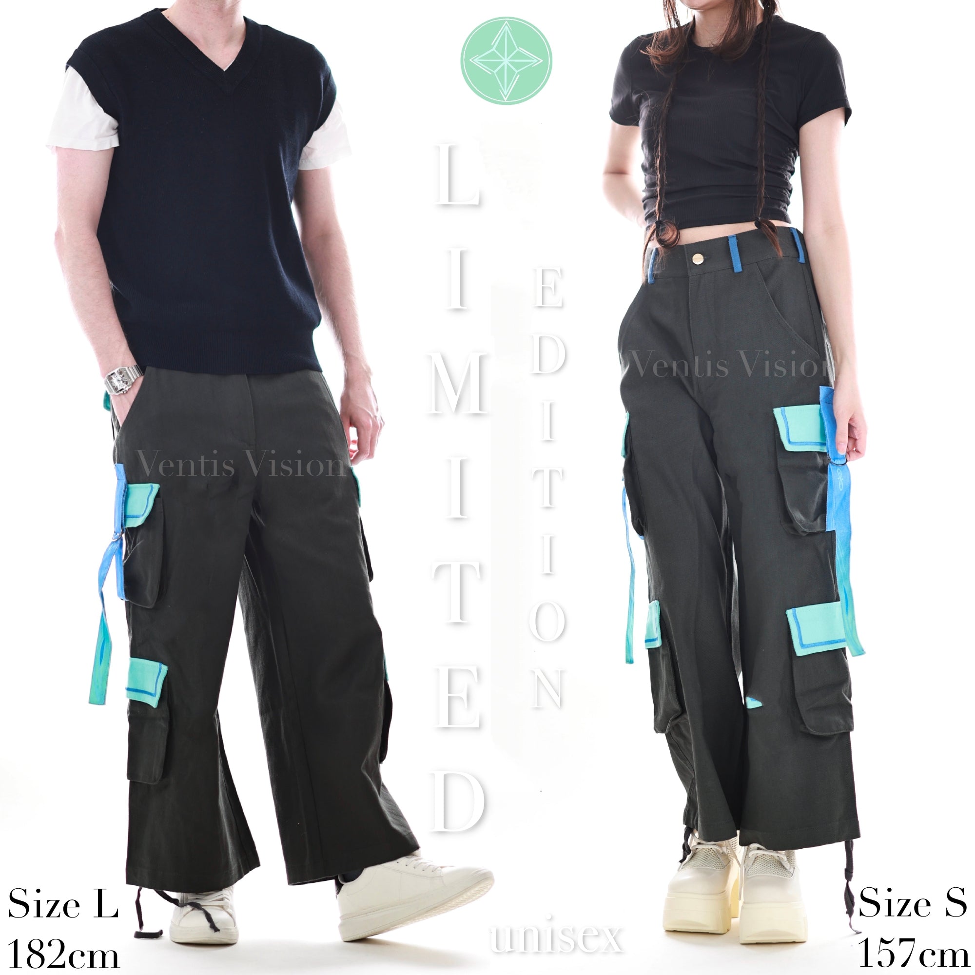 Wanderer Cargos 