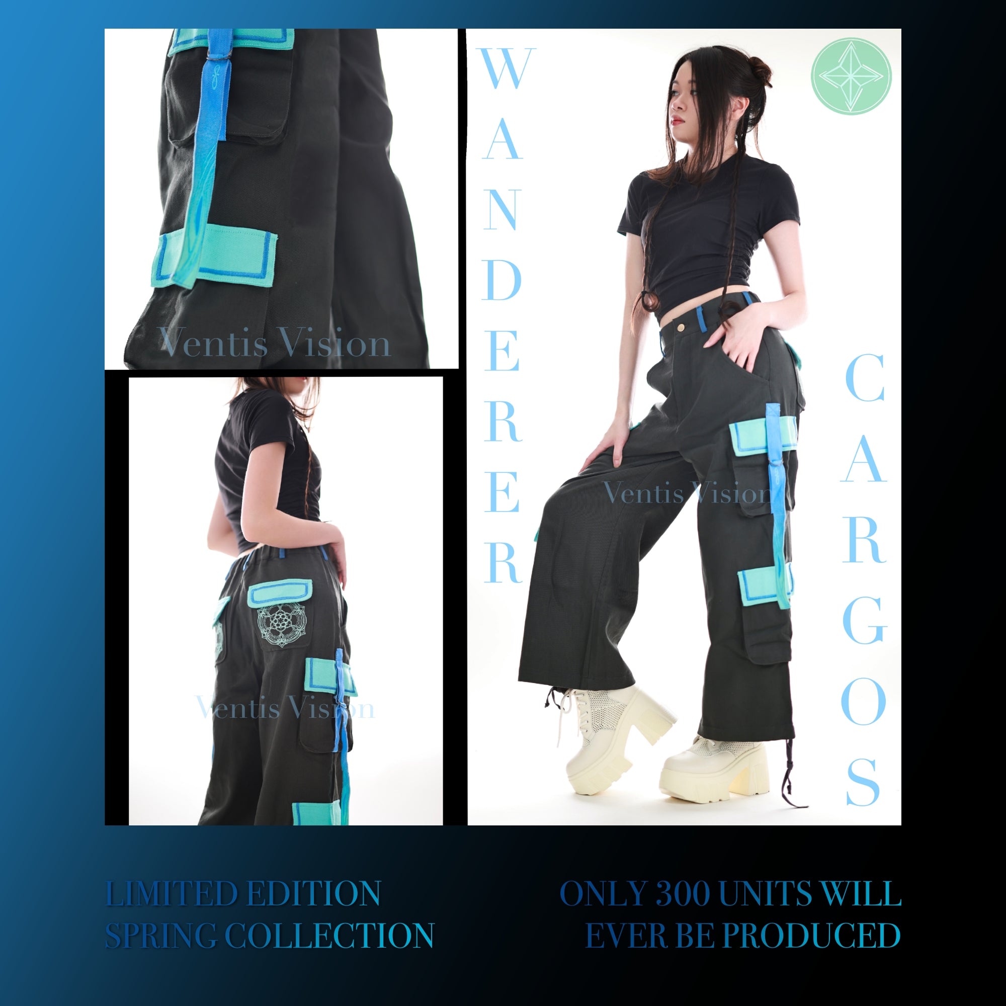 Wanderer Cargos 