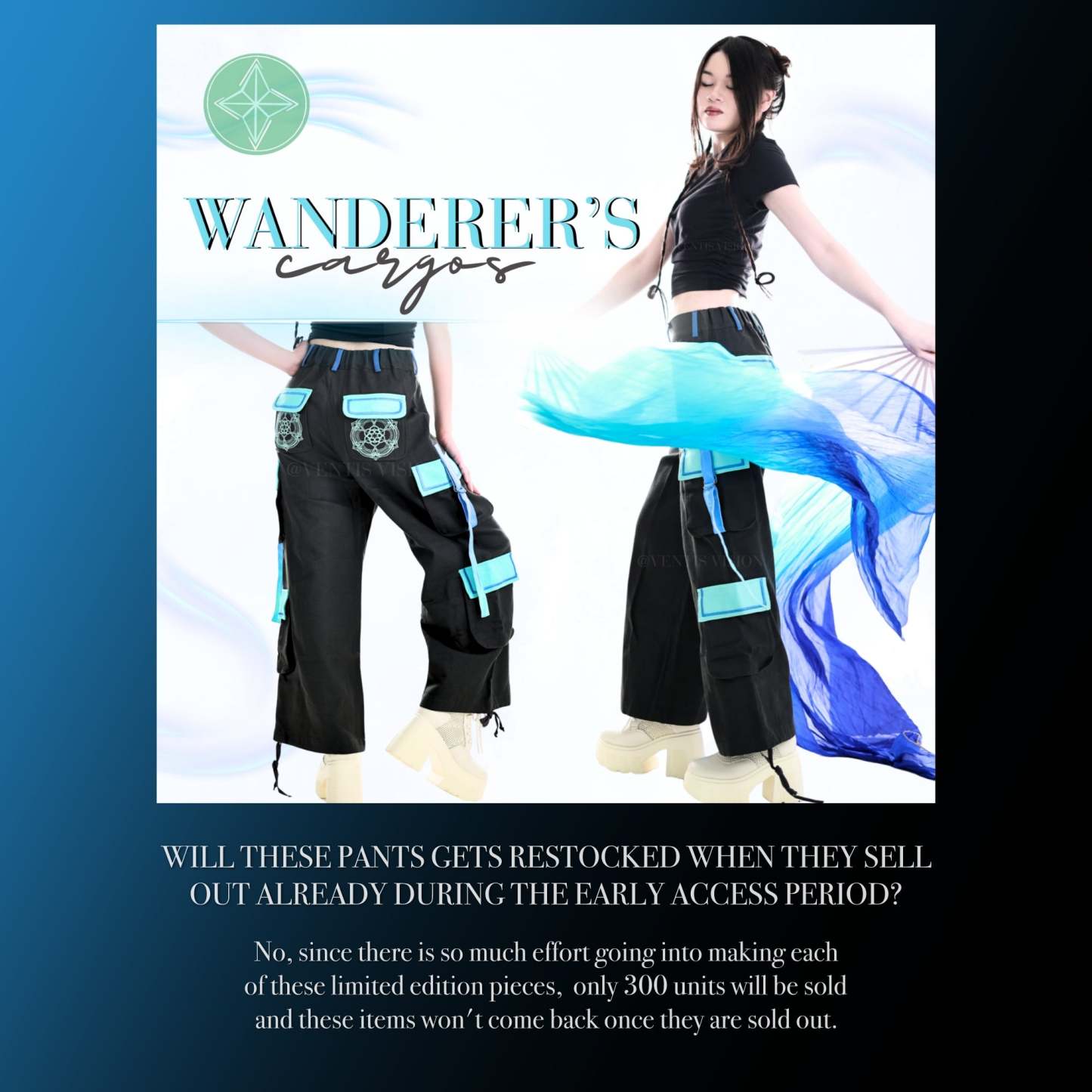 Wanderer Cargos 
