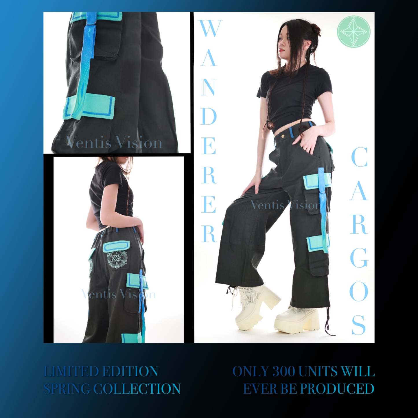 Wanderer Cargos 