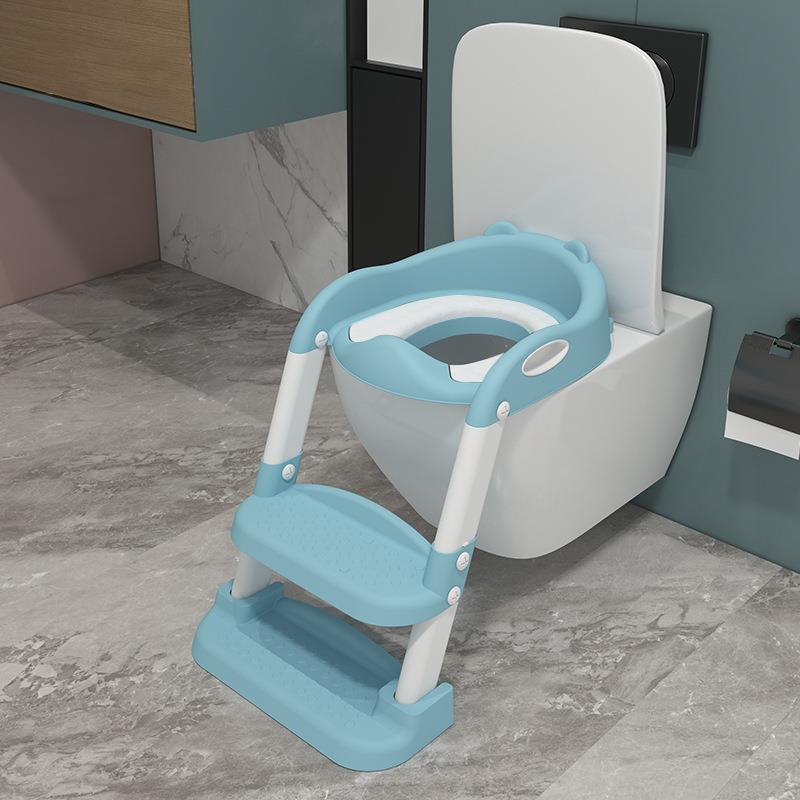 Toilet Training Seat & Ladder