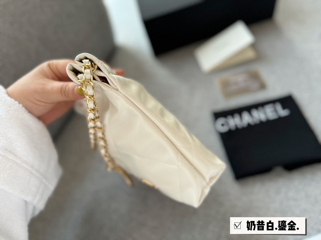 C-L BAG Reduced version 22bag