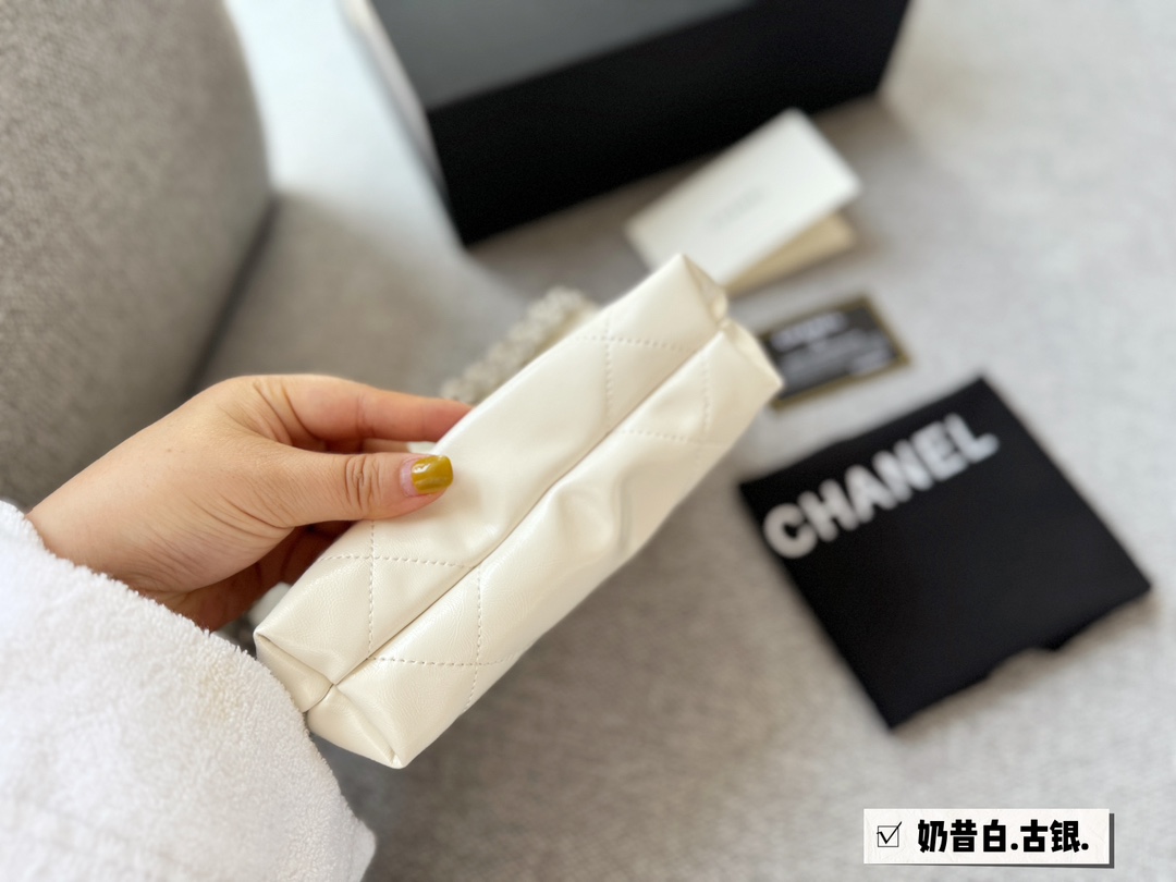 C-L BAG Reduced version 22bag