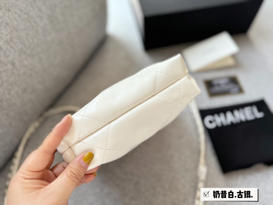 C-L BAG Reduced version 22bag