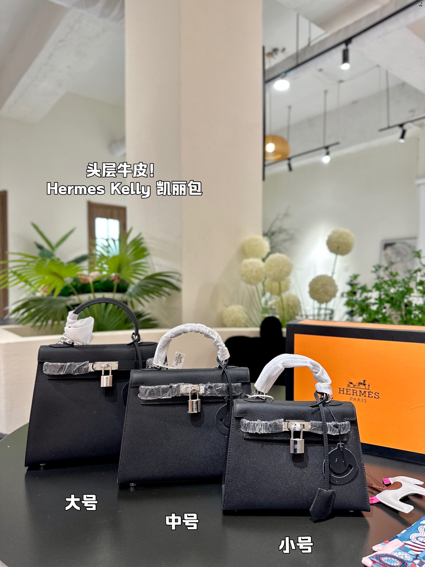 H-S KELLY Classic palmprint