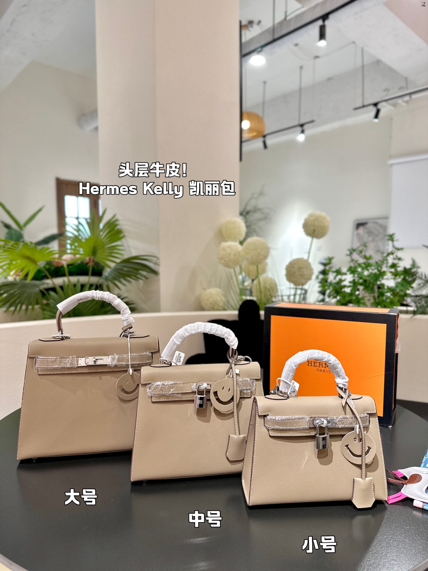 H-S KELLY Classic palmprint