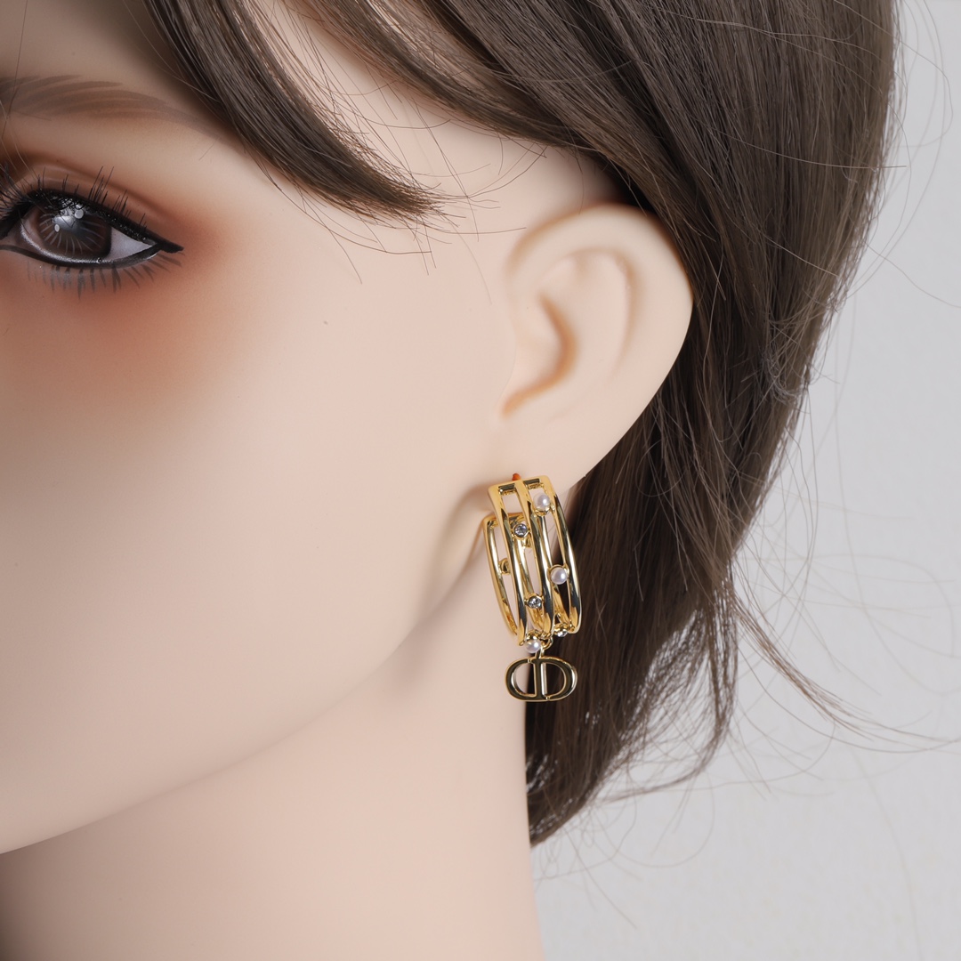 D-R earrings
