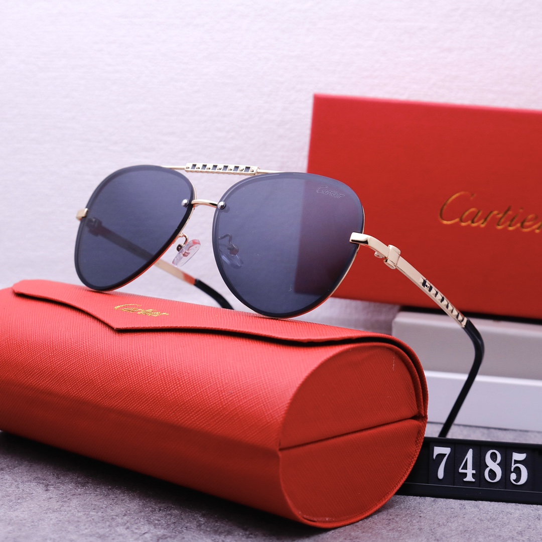 C-TER sunglasses