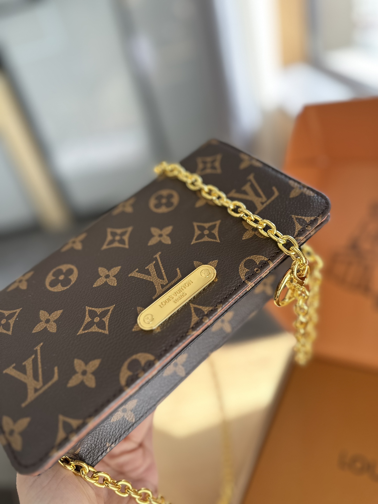 L-V  wallet on chain woc Lily