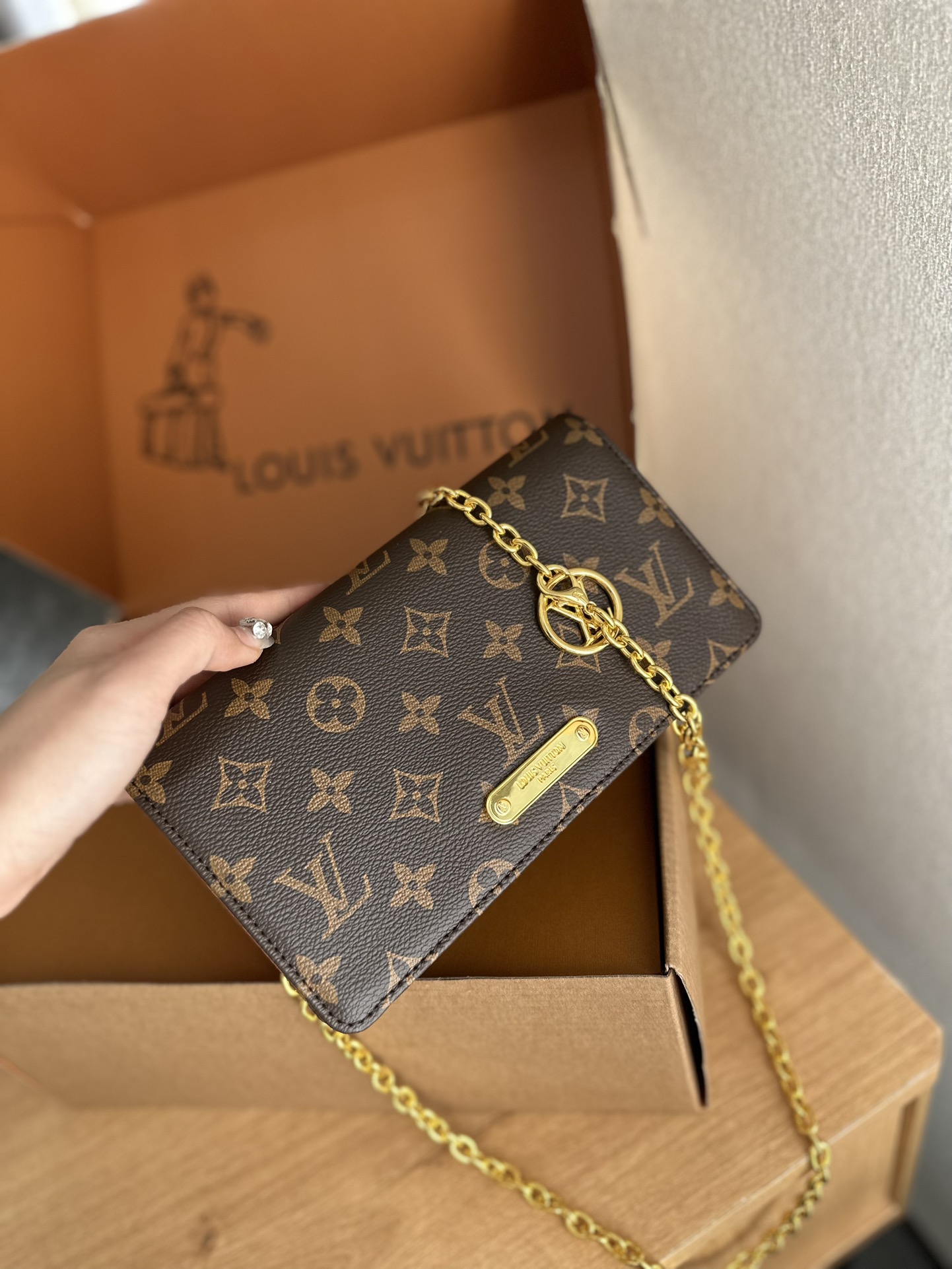 L-V  wallet on chain woc Lily