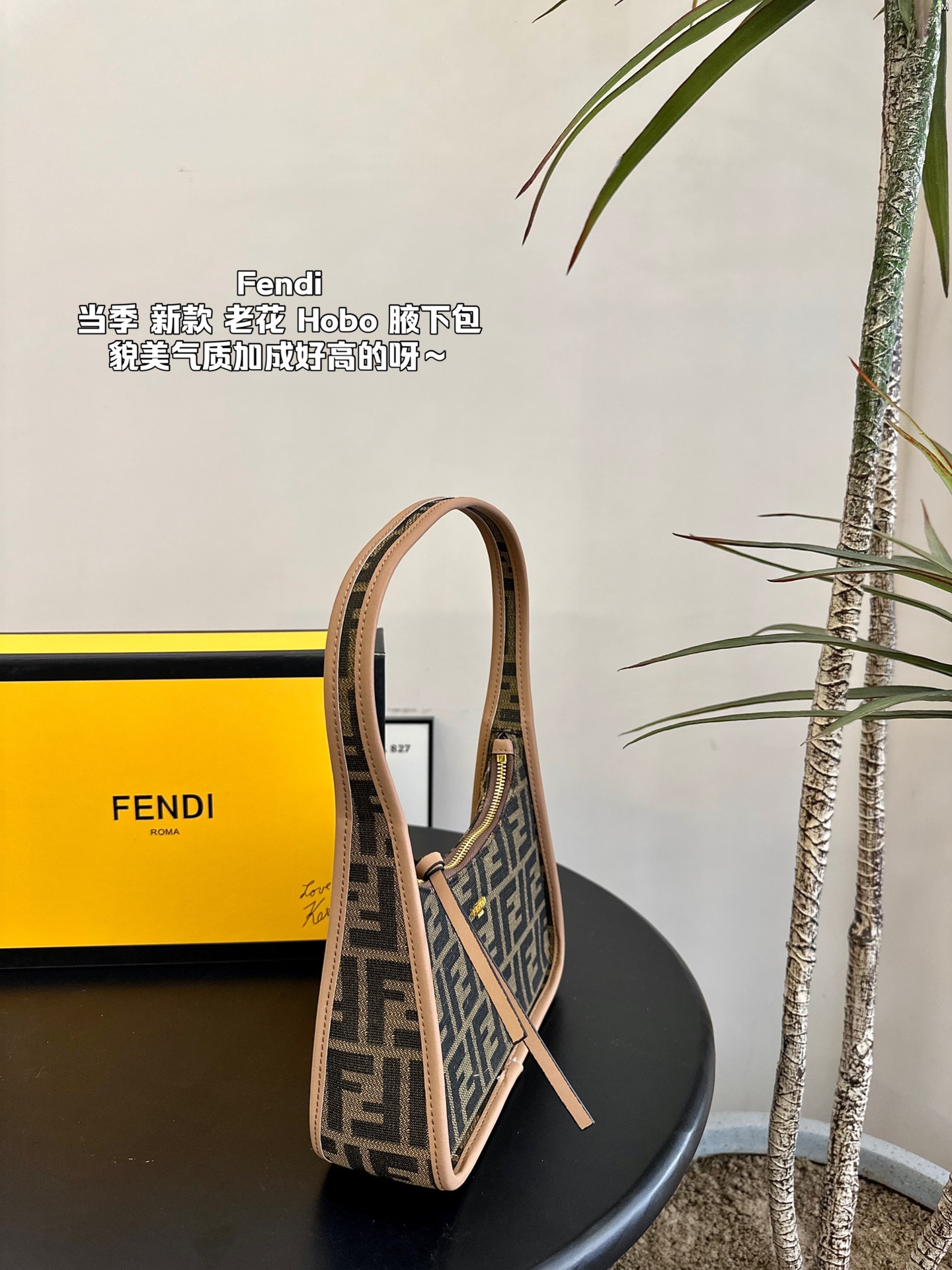 F-I Presbyopia hobo underarm bag