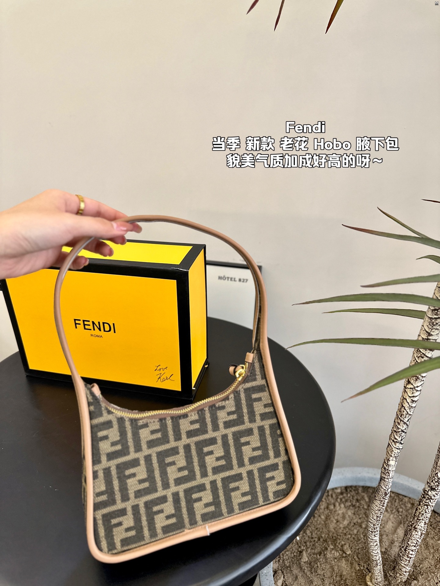 F-I Presbyopia hobo underarm bag