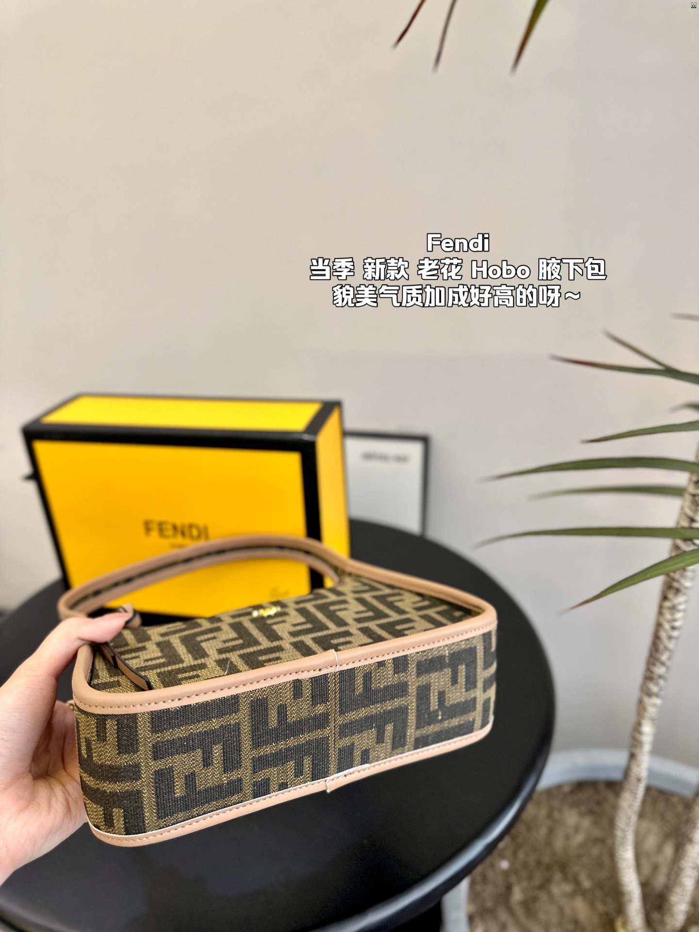 F-I Presbyopia hobo underarm bag