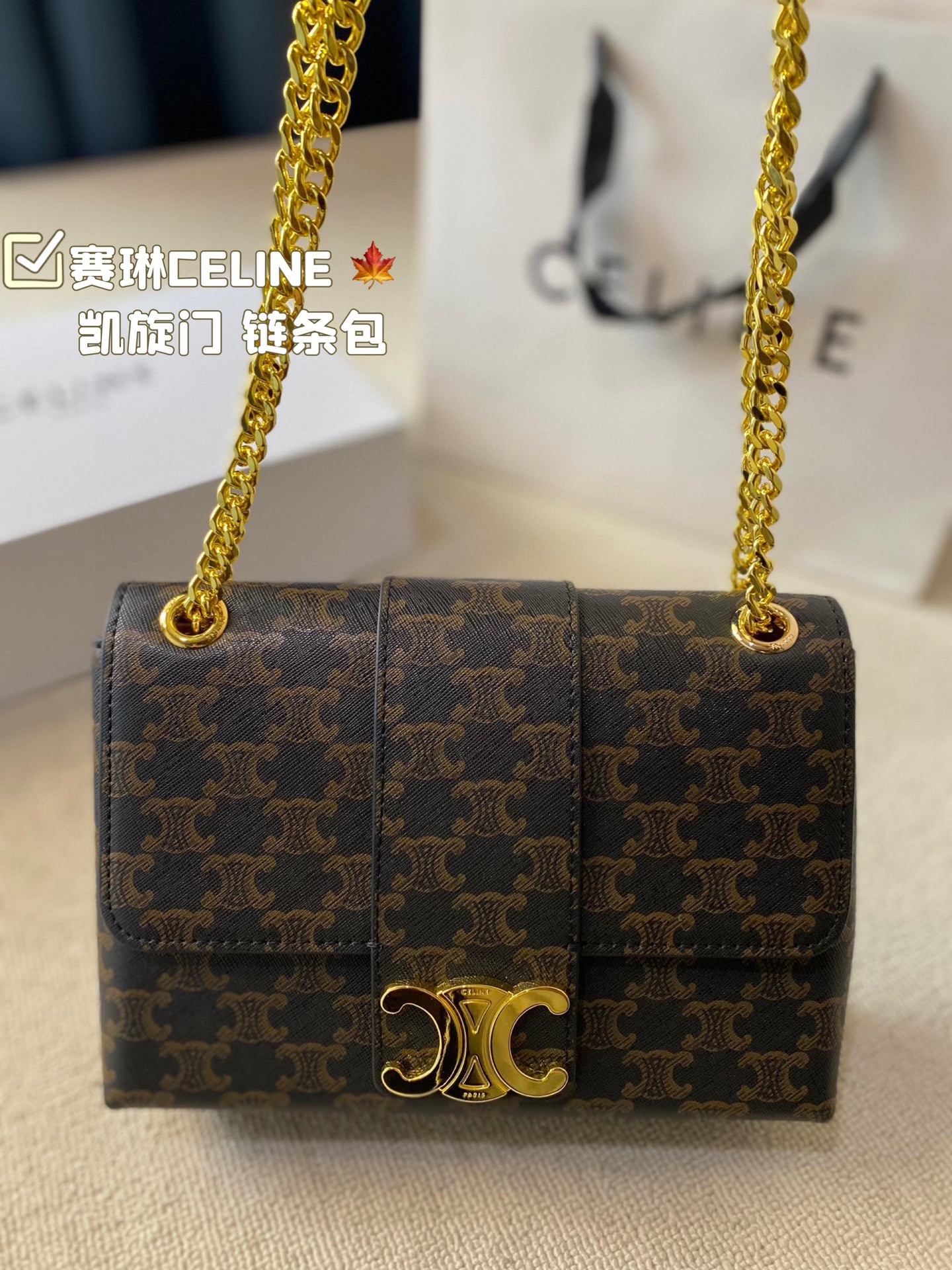 C-E Arc de Triomphe chain bag