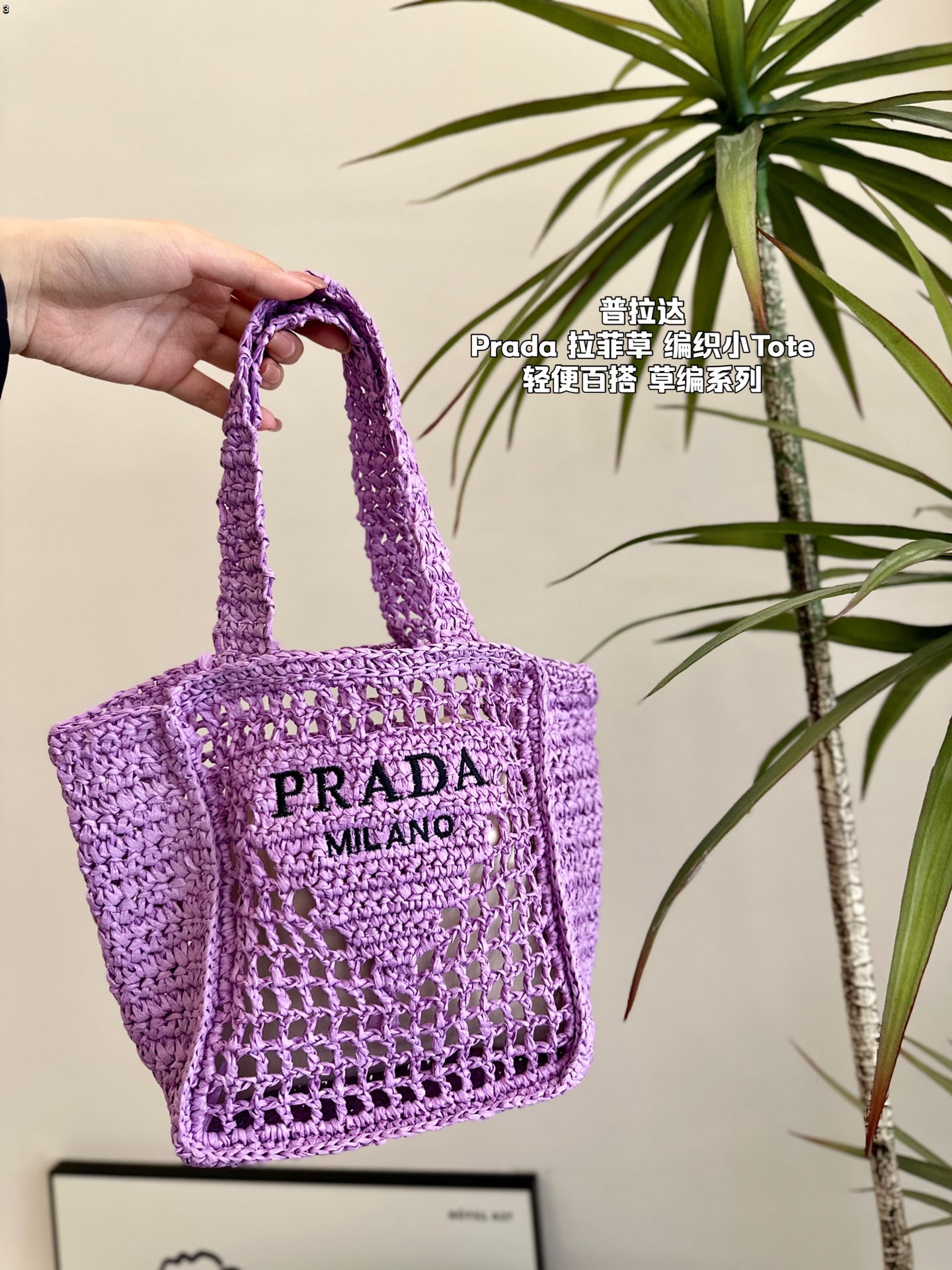 P-A Summer limited weaving straw small tote bag Raffia Tote