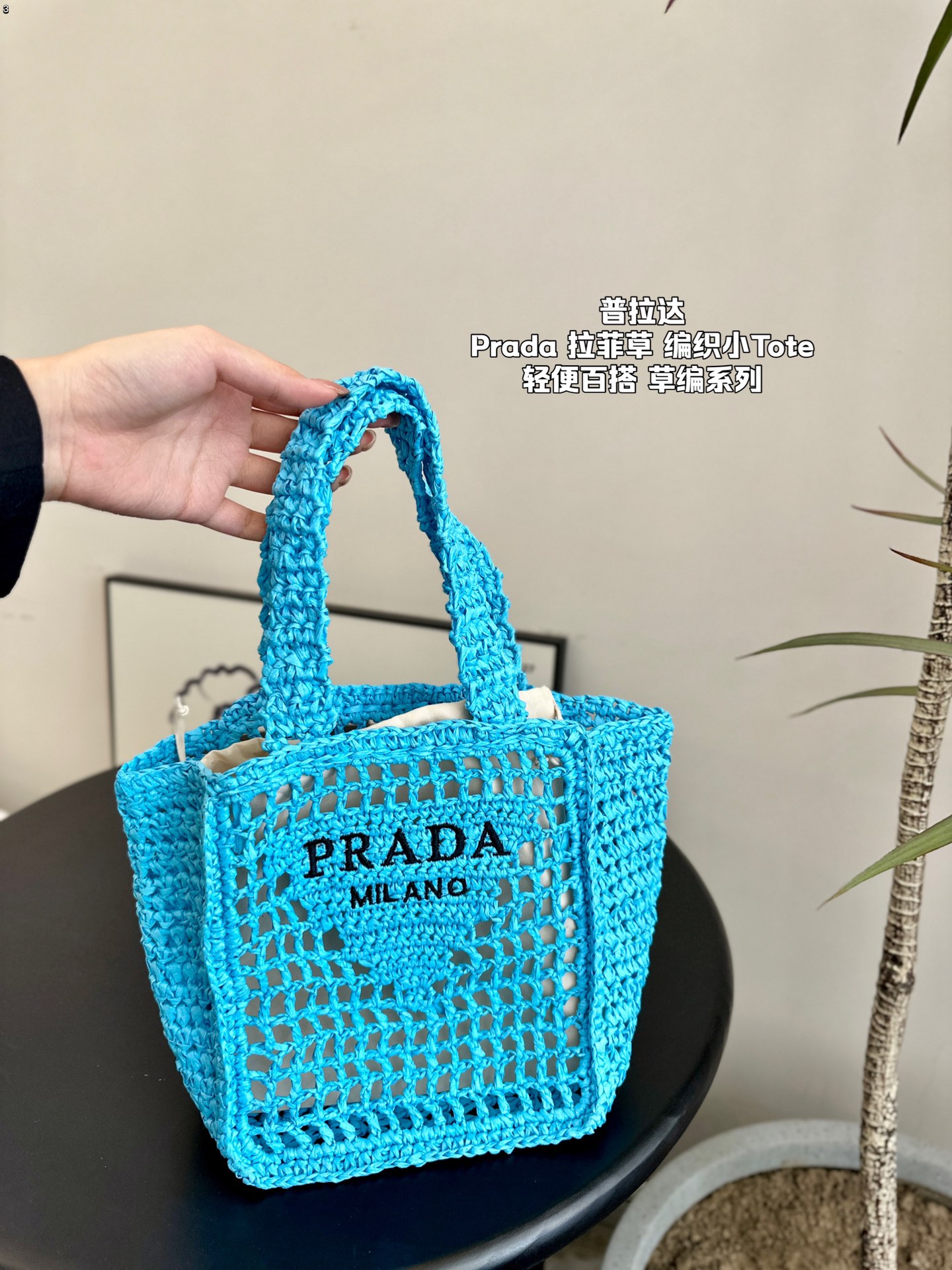 P-A Summer limited weaving straw small tote bag Raffia Tote