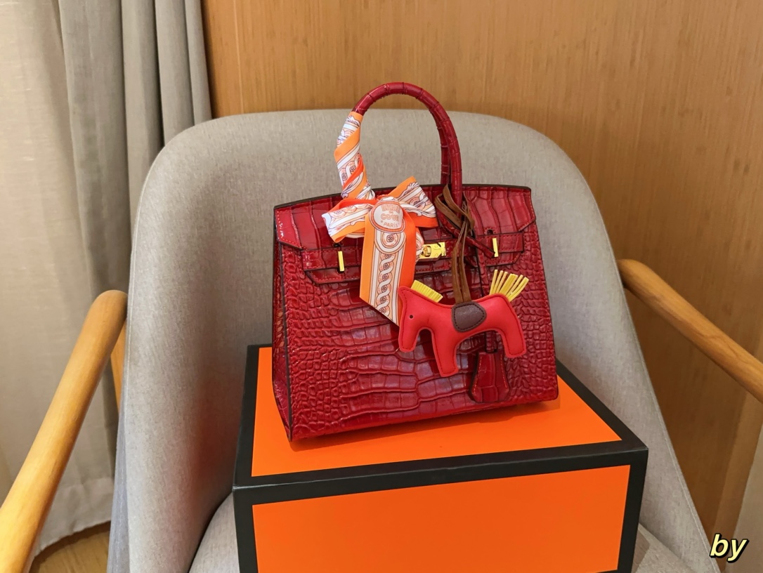H-S Crocodile birkin25 platinum bag Size 25×20×13