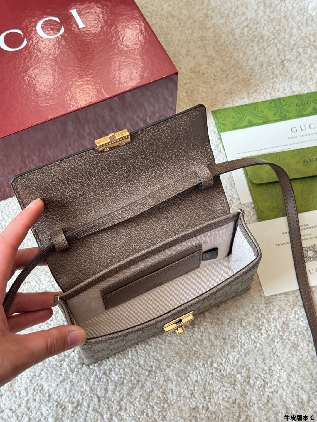 G-G Ophidia box bag.