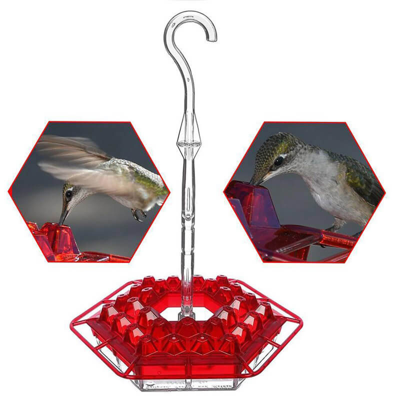 2022 Best Hummingbird Feeder with Ant Moat Perch and 30 Feeding Ports