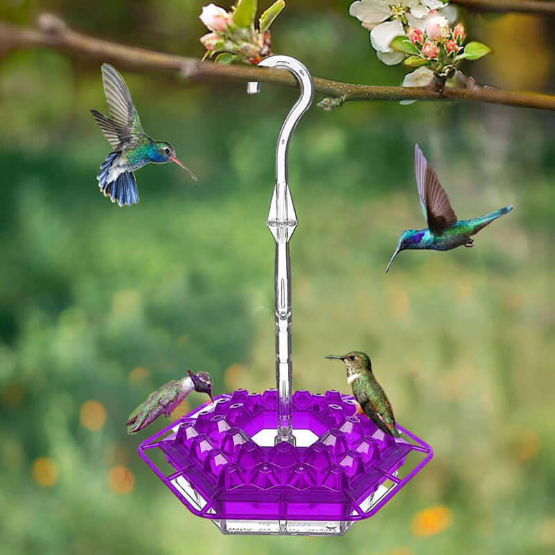 2022 Best Hummingbird Feeder with Ant Moat Perch and 30 Feeding Ports