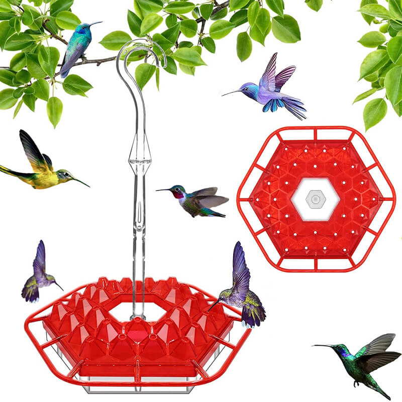 2022 Best Hummingbird Feeder with Ant Moat Perch and 30 Feeding Ports