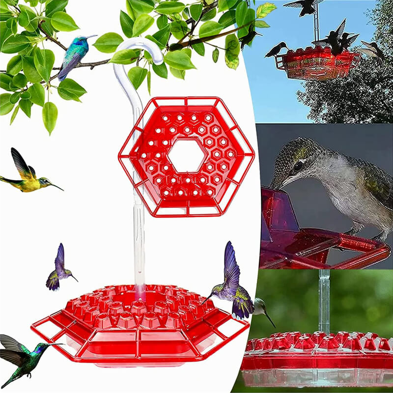 2022 Best Hummingbird Feeder with Ant Moat Perch and 30 Feeding Ports