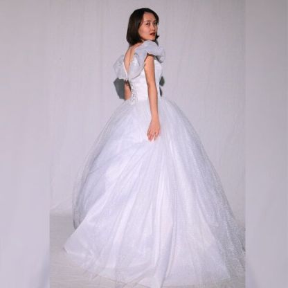 a Luxurious Luminous Princess Wedding Dress