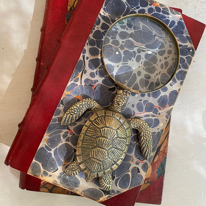 Brass Turtle Magnifying Glass