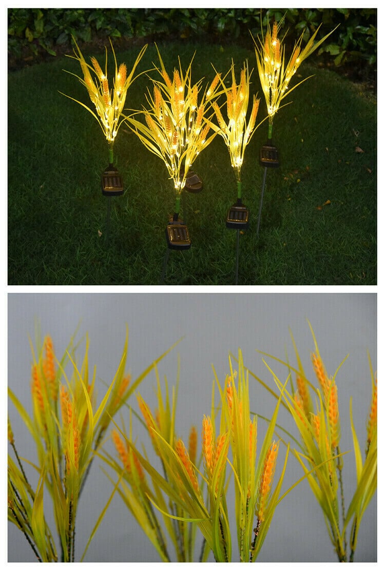 2 Pcs solar wheat ear outdoor garden light-WowWoot