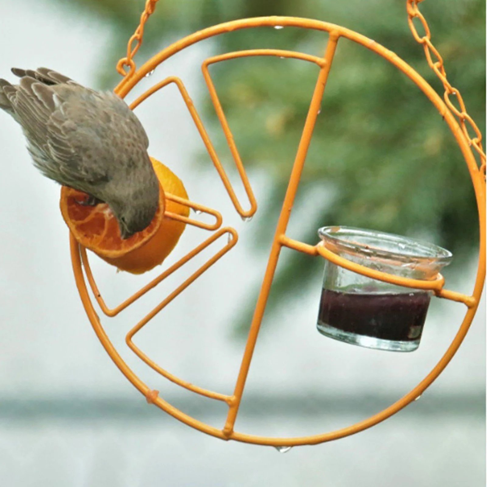 🔥LAST DAY 75% OFF-2-in-1 hanging hummingbird oriole feeder