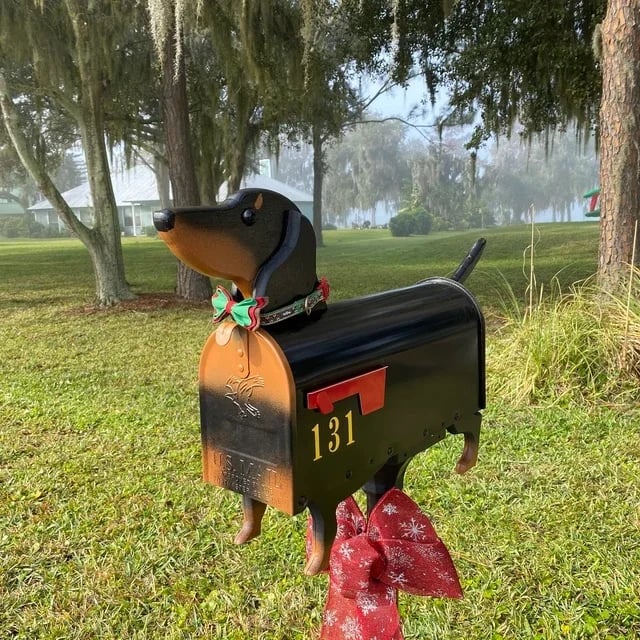 🐶Wiener Dog - Mailbox 📫
